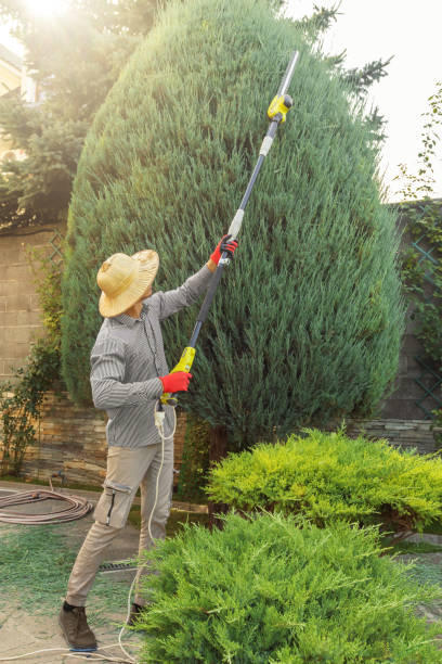 Best Lawn Irrigation Installation and Maintenance  in Topanga, CA